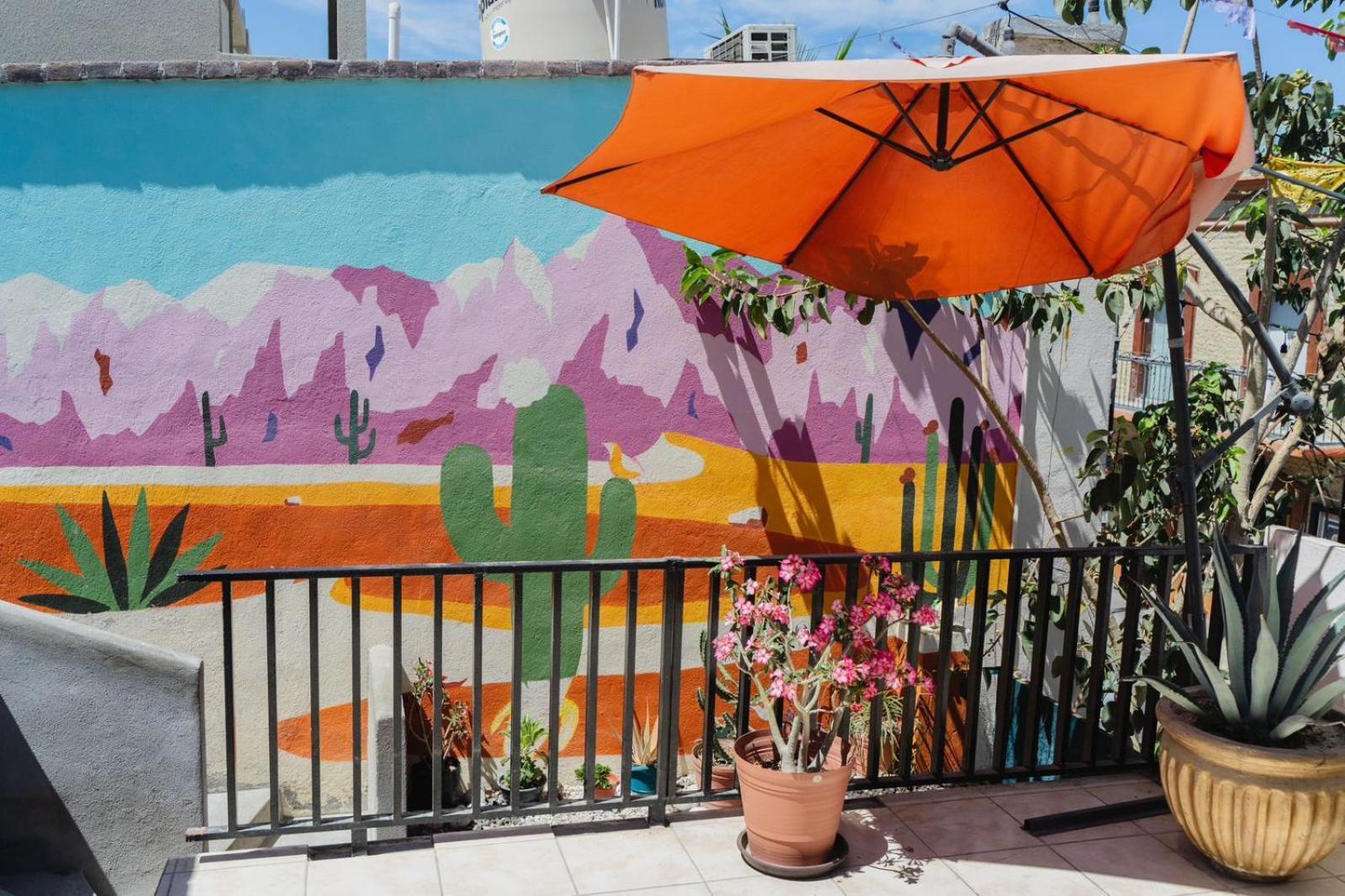 Desert Heart Hostel San Jose del Cabo Exterior photo
